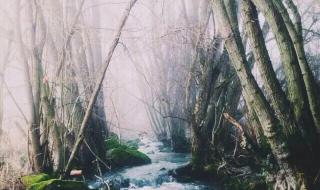 挪威的森林精彩片段 挪威的森林精彩片段